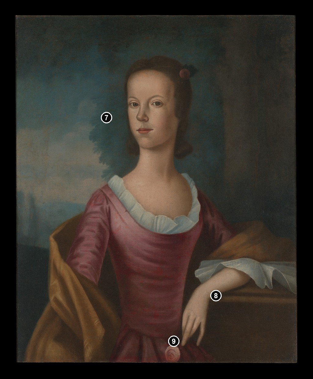 Annotated details from Sarah Ursula Rose by Benjamin West